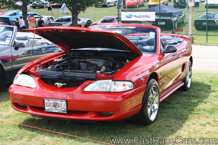 Mustang Mustang
